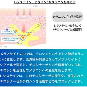 (第3類医薬品)トランシーノ ホワイトCプレミ...の詳細画像1