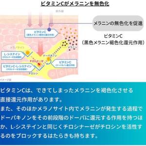 (第3類医薬品)トランシーノ ホワイトCプレミ...の詳細画像2