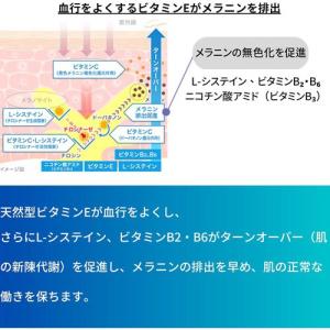 (第3類医薬品)トランシーノ ホワイトCプレミ...の詳細画像3