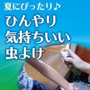 キンチョー プレシャワーDF ミスト プラスハ...の詳細画像3