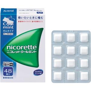 ニコレットクールミントの商品画像
