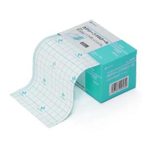 ケアエイド 大きな傷口保護パッド 滅菌 ( 10枚入 ) : 爽快ドラッグ