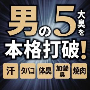 ファブリーズ 消臭スプレー PREMIUM 消...の詳細画像2