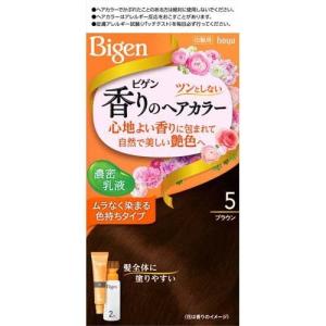 ビゲン 泡クリームカラー 4N フォギーブラウン ( 1セット )/ : 爽快