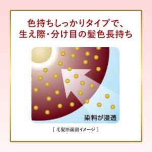 ビゲン クリームトーン 深い栗色 5G ( 4...の詳細画像2