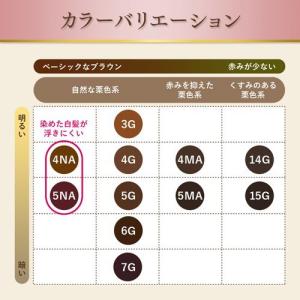ビゲン クリームトーン 深い栗色 5G ( 4...の詳細画像4