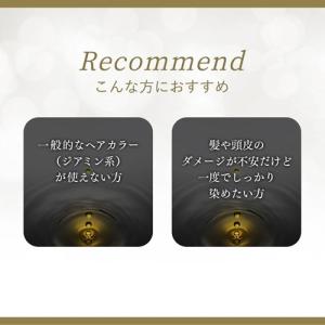 シエロ オイルインヘアマニキュア ライトブラウ...の詳細画像2