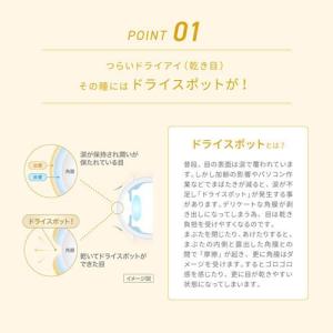 (第3類医薬品)なみだロートドライエイド ( ...の詳細画像4