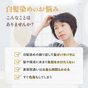 50の恵 頭皮いたわりカラートリートメント ブ...の詳細画像2
