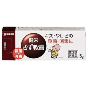 (第3類医薬品)健栄きず軟膏 ( 5g ) ( キズ やけど 殺菌消毒 )｜soukai