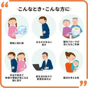 新ビオフェルミンS錠 ( 48錠 )/ 新ビオ...の詳細画像3