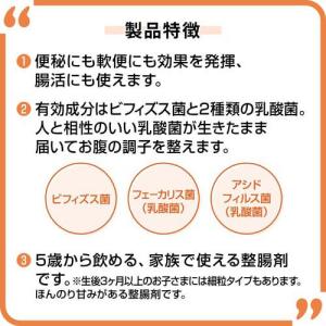 新ビオフェルミンS錠 ( 48錠 )/ 新ビオ...の詳細画像4