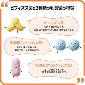 新ビオフェルミンS錠 ( 48錠 )/ 新ビオ...の詳細画像5