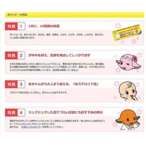 (第3類医薬品)ポリベビー ( 30g(セルフ...の詳細画像3