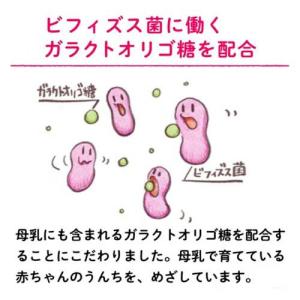 アイクレオ バランスミルク 小缶 ( 320g...の詳細画像3