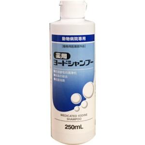 薬用酢酸クロルヘキシジンシャンプー ( 250g )/ フジタ製薬 : 爽快