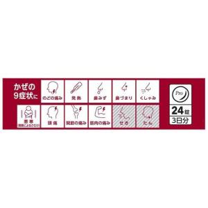 (第(2)類医薬品)パイロンPL錠Pro ( ...の詳細画像3