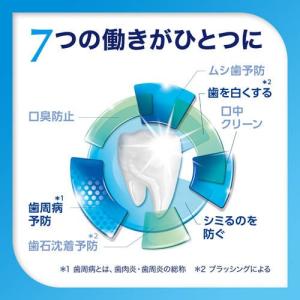 シュミテクト コンプリートワンEX ( 90g...の詳細画像1