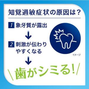 シュミテクト コンプリートワンEX ( 90g...の詳細画像3
