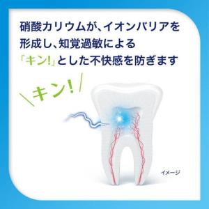シュミテクト コンプリートワンEX ( 90g...の詳細画像4