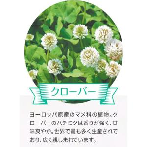 マルミ クローバーはちみつ ( 500g )/...の詳細画像1