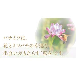 マルミ クローバーはちみつ ( 500g )/...の詳細画像2