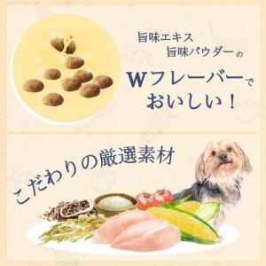 ファーストチョイス ChoiceS 高齢犬10...の詳細画像2