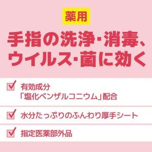 エリエール 消毒できるアルコールタオル つめか...の詳細画像1