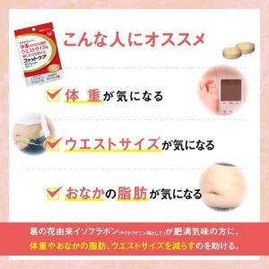 リビタ ファットケア タブレット(粒タイプ) ...の詳細画像4