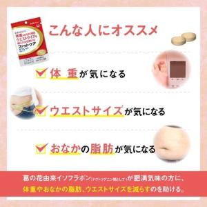 リビタ ファットケア タブレット(粒タイプ) ...の詳細画像4
