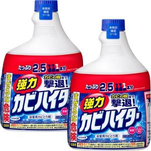 強力カビハイター お風呂用カビ取り剤 付け替え 特大 ( 1000ml*2本セット )/ ハイター