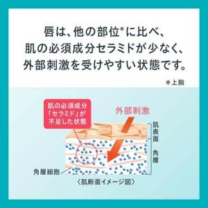 キュレル リップケア バーム ( 4.2g*2...の詳細画像3