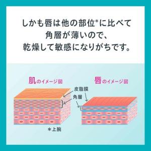 キュレル リップケア バーム ( 4.2g*2...の詳細画像4