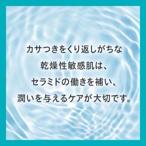 キュレル リップケア バーム ( 4.2g*2...の詳細画像5