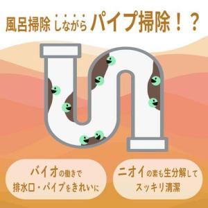 緑の魔女 バス用洗剤 ( 420ml*2本セッ...の詳細画像2