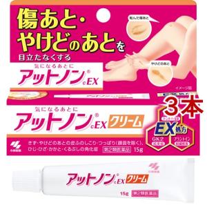 (第2類医薬品)アットノンEX クリーム ( 15g*3本セット )/ アットノン｜soukai