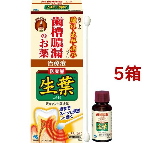 (第3類医薬品)小林製薬 生葉液薬 ( 20g*5箱セット )/ 生葉