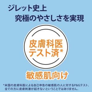 ジレット スキンガード 本体+替刃2コ ( 3...の詳細画像1
