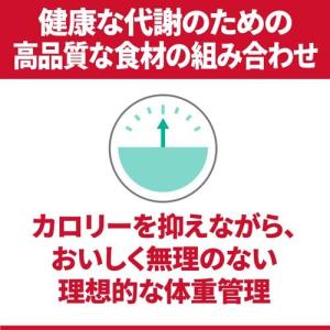 ドッグフード 成犬 小型犬用 1歳以上 チキン...の詳細画像2