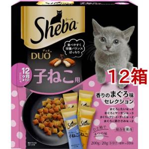 カークランドシグネチャー キャットフード 成猫用 子猫用 11.34kg