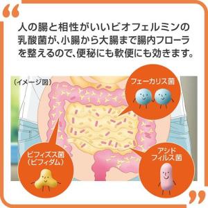 新ビオフェルミンS錠 ( 350錠*5個セット...の詳細画像2
