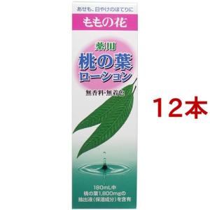コーンカッター PSG-026 ( 1コ入 )/ グリーンベル : 爽快ドラッグ