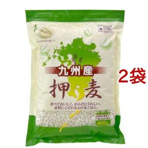 石橋工業 九州産押麦 ( 800g*2袋セット )