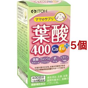 葉酸400 Ca・Feプラス ( 120粒*5個セット )/ 井藤漢方｜soukai