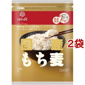 はるもち うさぎもち 丸もち 1kg | 一般食品,お米・もち,もち | amity