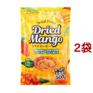 不揃い ドライマンゴー タイ産 ( 500g*2袋セット ) ( 保存食 非常食 ドライフルーツ マンゴー 食物繊維 )｜soukai