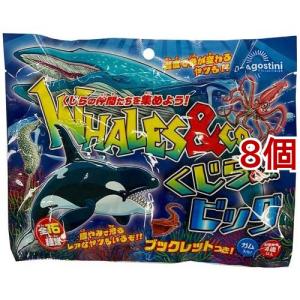 くじら＆Co.ビッグ