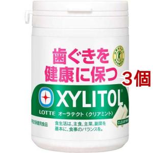 キシリトールガム ライムミント 大容量パウチ ( 266g×2セット ) : 爽快