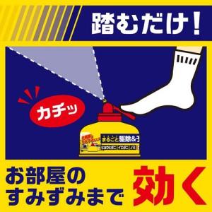 (第2類医薬品)ダニアースレッド ノンスモーク...の詳細画像4