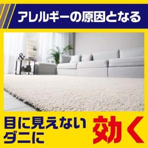 (第2類医薬品)ダニアースレッド ノンスモーク...の詳細画像5